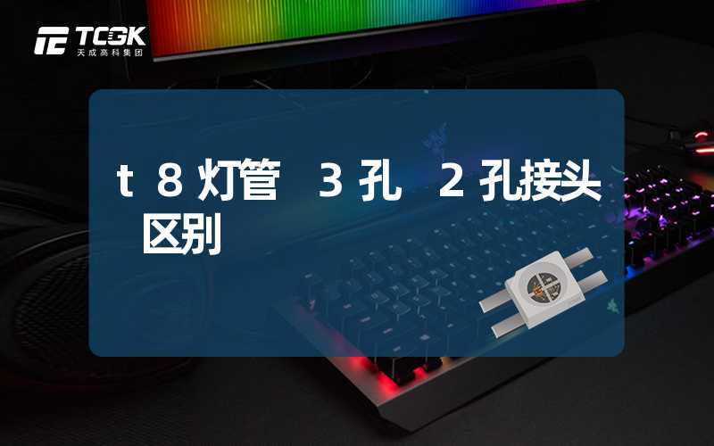 t8灯管 3孔 2孔接头 区别